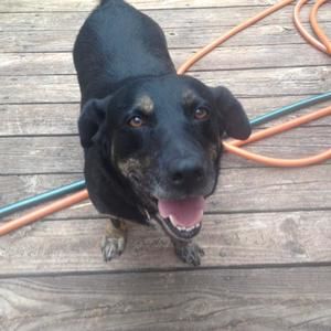 Meet your Posher, Theoni